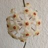 Profilbild von AfAf95