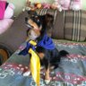 Головатий Василь's profile picture