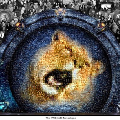 SGFansUnited's profile picture