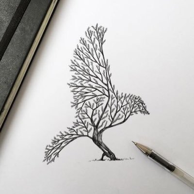البيئة والطبيعة's profile picture