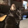 moviefan32 的头像