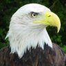 Profilbild von Georgia Southern Guy