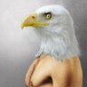 Profilbild von -
