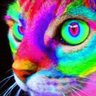 Фото профиля Alex Maillard