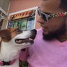 Brandon profil fotoğrafı