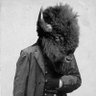 Bill Bison 的头像