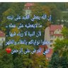 Profilbild von بنت الخنساء