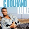 Coolhand Luke's profile picture
