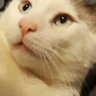 Profilbild von LocoLobosLair