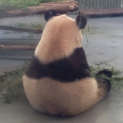 ysmkwa's profile picture