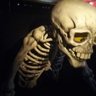 えきぞぅ profil fotoğrafı