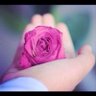 رووح وريحاآن profil fotoğrafı