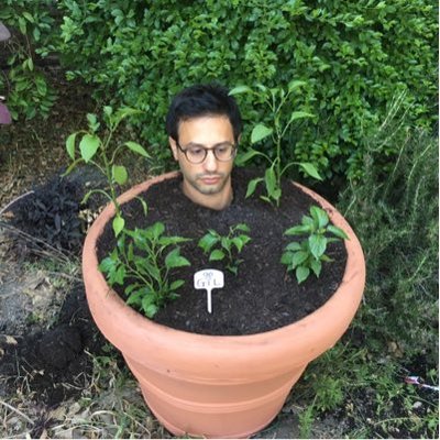 gilozeri's profile picture