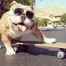 Фото профиля DAWGS MAN, DAWGS