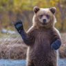Русский Медведь🐻 的头像