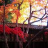 星の輝き 的头像