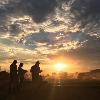 diego luna's profile picture