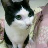 めぐめぐーん profil fotoğrafı