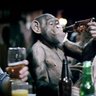 Chris Altree's profile picture