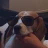 Jacqui's profile picture