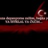 Yaşar🇵🇸🇹🇷 的头像