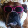Profilbild von Rodboats