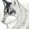 DylanHowlingWolf profil fotoğrafı