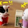 こもも profil fotoğrafı