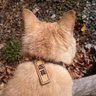 Profilbild von ねこ店長