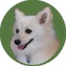Profilbild von Smile MoMo