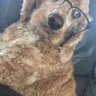 Profilbild von Tony Tupy