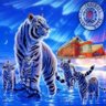 Jason ferguson's profile picture