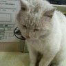 Profilbild von ととまる 日常&モンスト