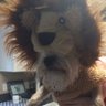 Profilbild von Kevin