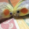 ふくふく♪'s profile picture