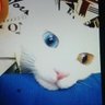 Arzu Sobacı's profile picture