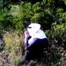 Фото профиля ابو لمبه