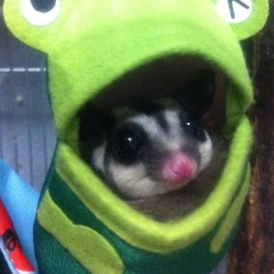 626katsu's profile picture