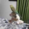 E. Patricia Núñez M. 🐥🌹🐤🐣🕊's profile picture