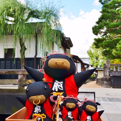 kimihida's profile picture