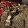 Фото профиля Maisie Tiberius Drew