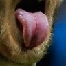 Profilbild von Oleg S.