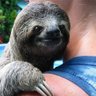 footlongbox's profile picture