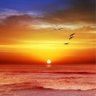 صالح الجذنان profil fotoğrafı