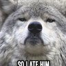 Mr.Fatwolf 的头像