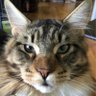 Profilbild von Mindy MowZer