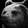 Profilbild von Hachi