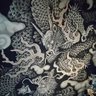 大快 的头像