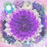 Profilbild von かえでまる