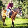 Mohammed Tabasi's profile picture